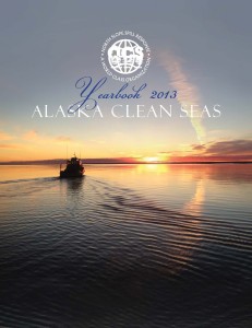 2013 Yearbook Cover